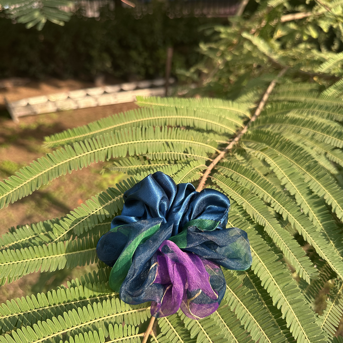 Peacock Petal